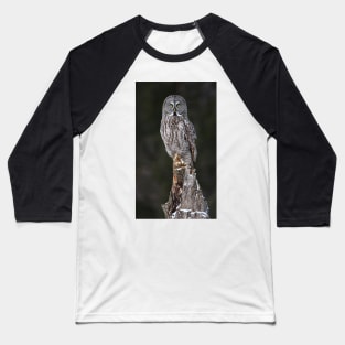 The Phantom - Great Grey Owl Baseball T-Shirt